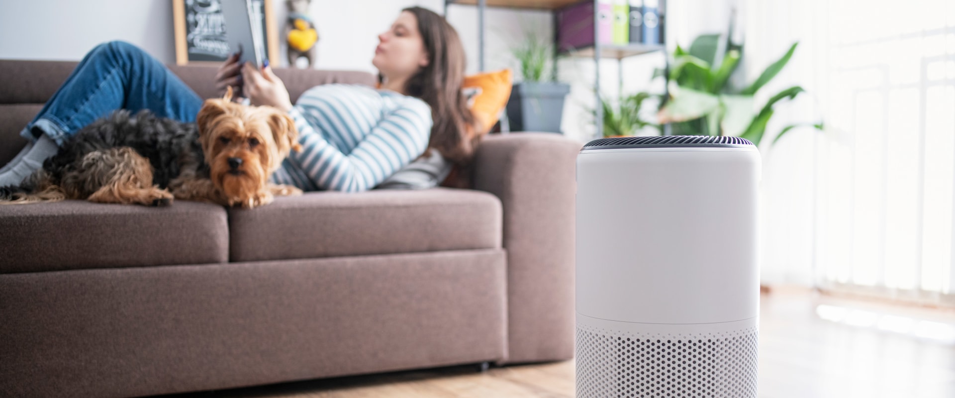 Best air purifier for home