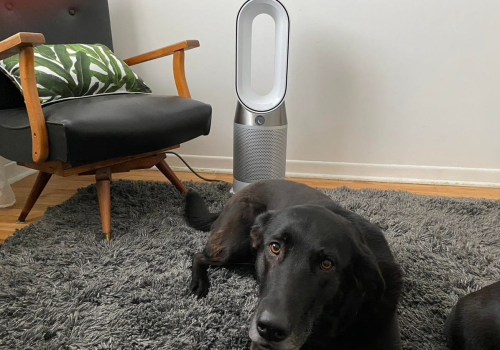 What is the Best Furnace Air Filter for Pets?