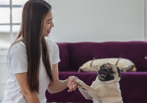 Do Air Purifiers Keep Pets Safe?