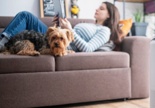 What's the Best Home Air Purifier?